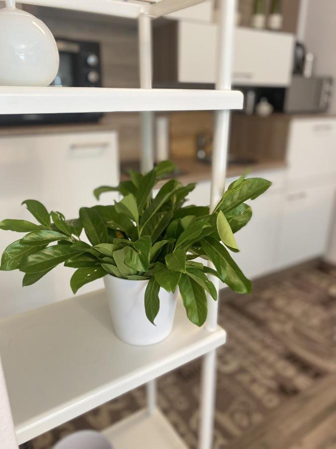 Apartmán #Lowcosthighcomfortgoess Goss Exteriér fotografie