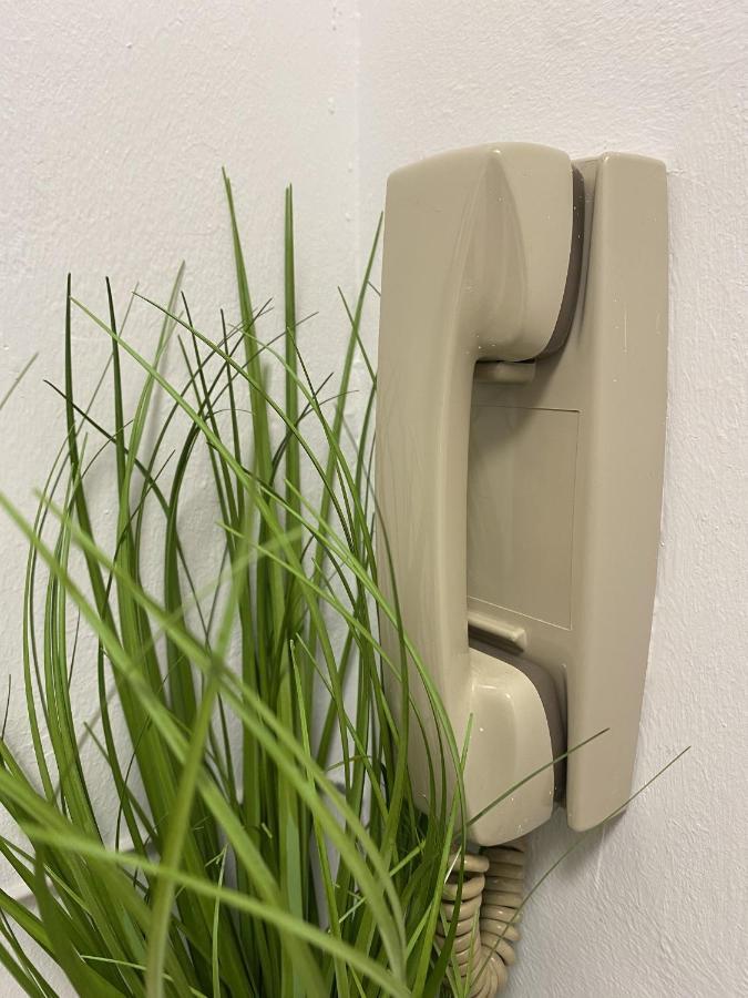 Apartmán #Lowcosthighcomfortgoess Goss Exteriér fotografie